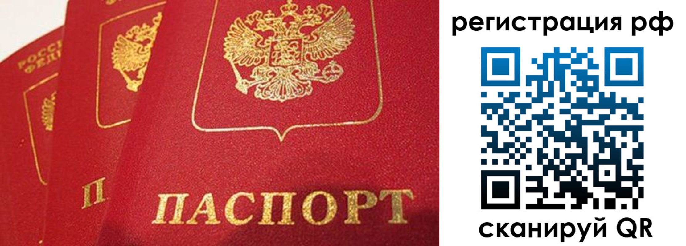 прописка поиск в Куртамыше
